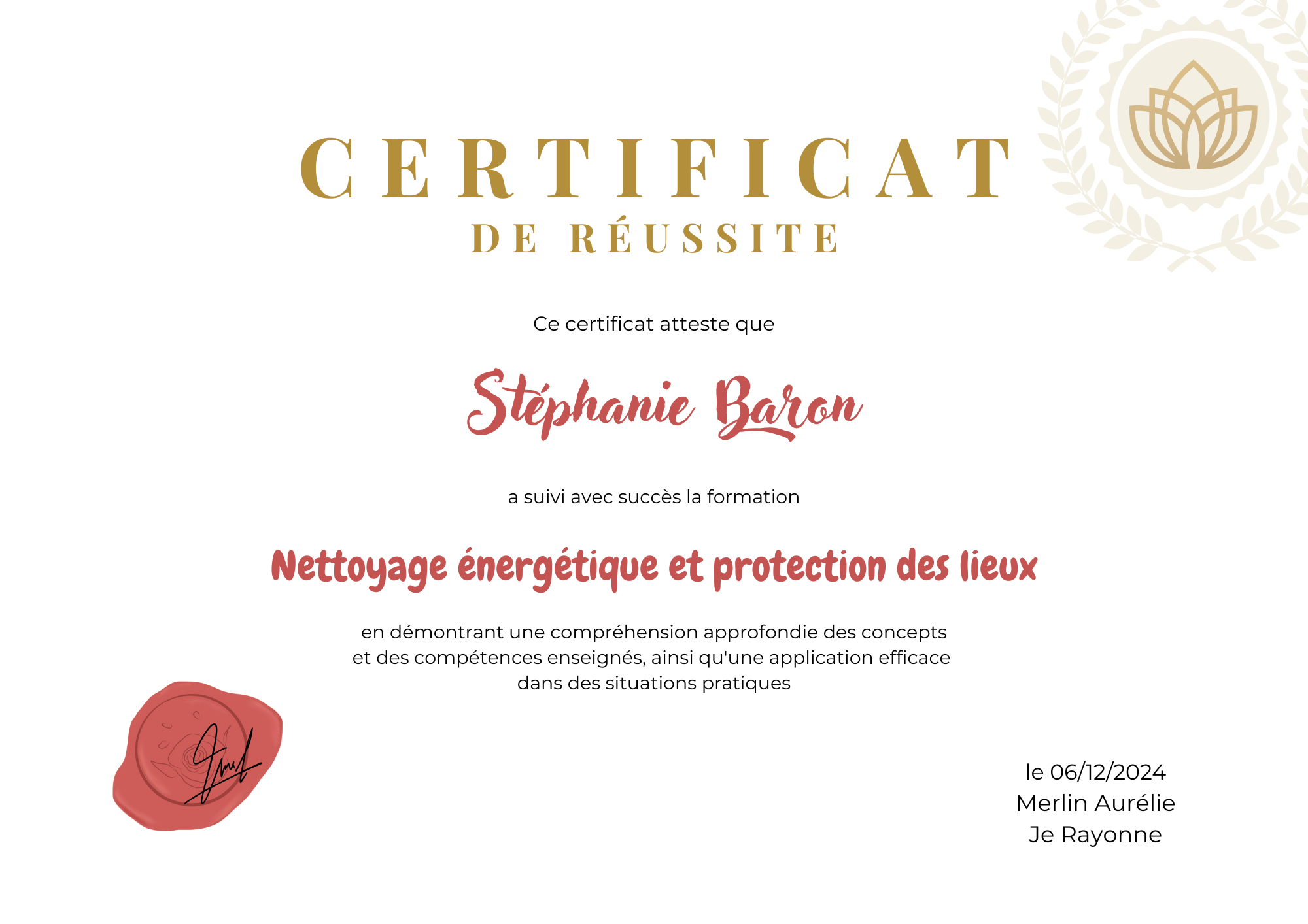 Diplôme Nettoyage