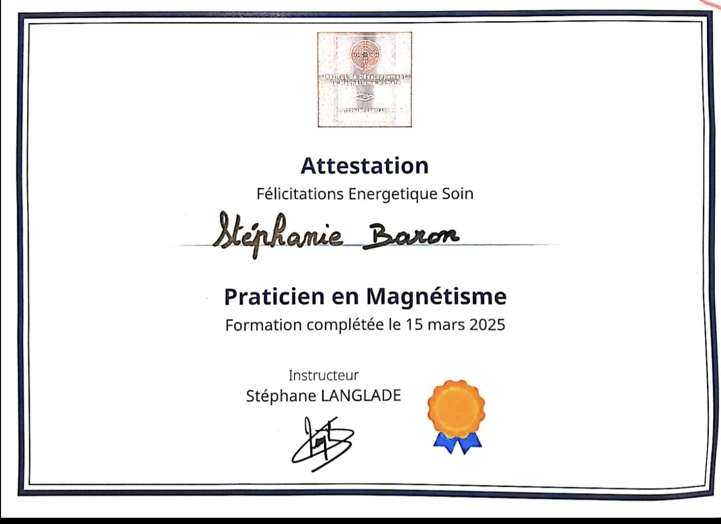 Diplôme Magnétisme Niveau 2